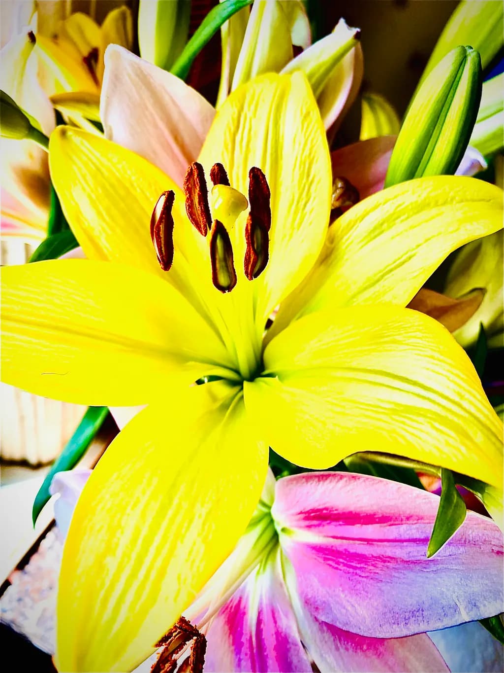 Yellow Lily