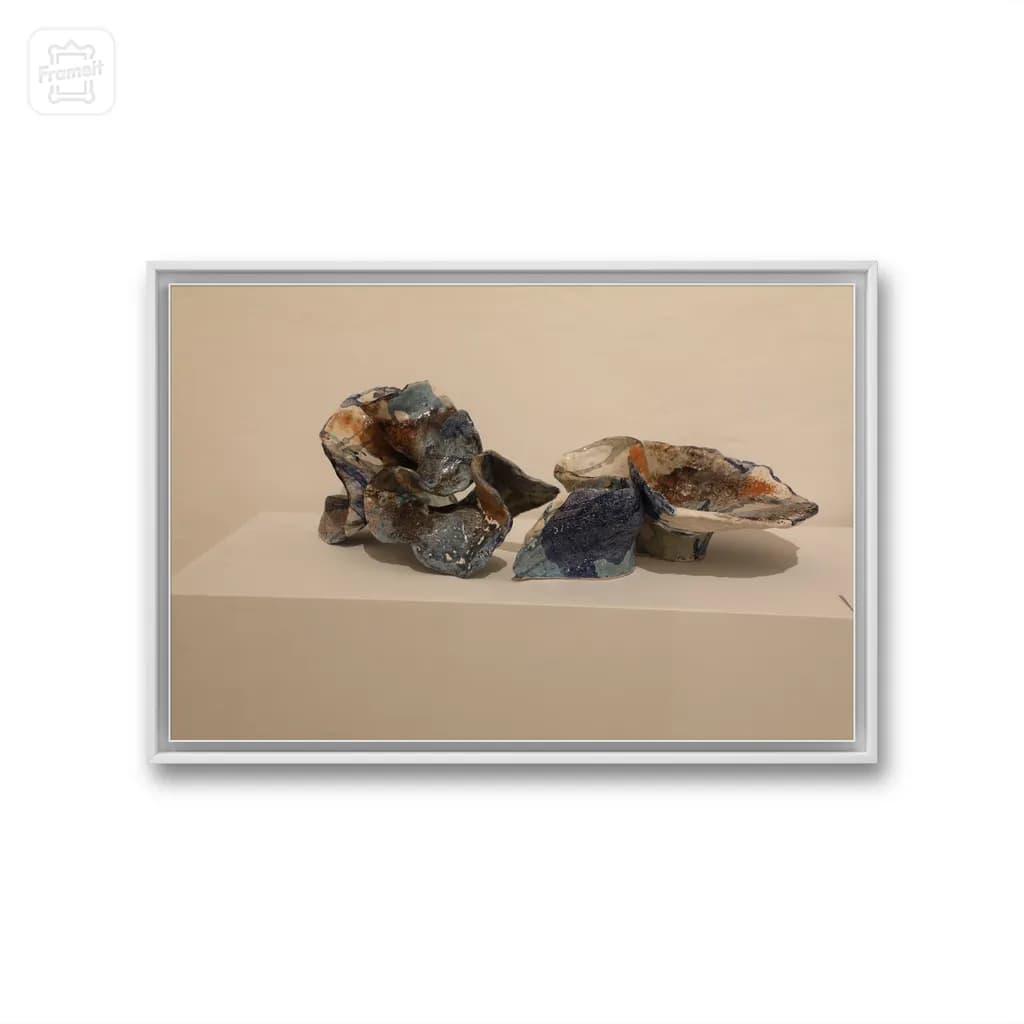 Terraforms