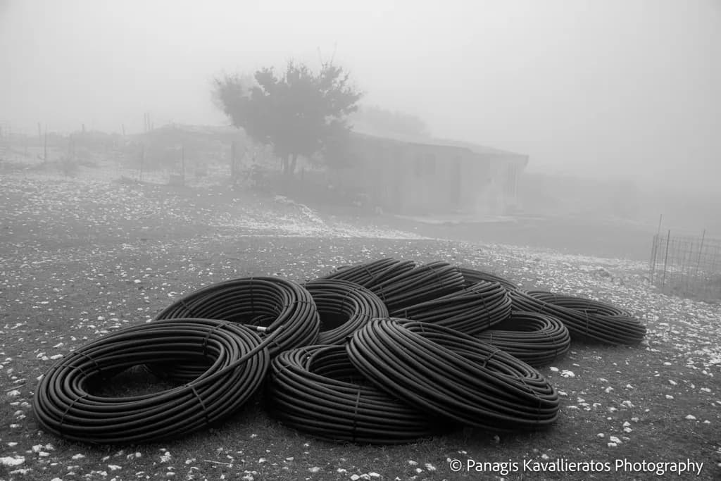 Foggy Landscape