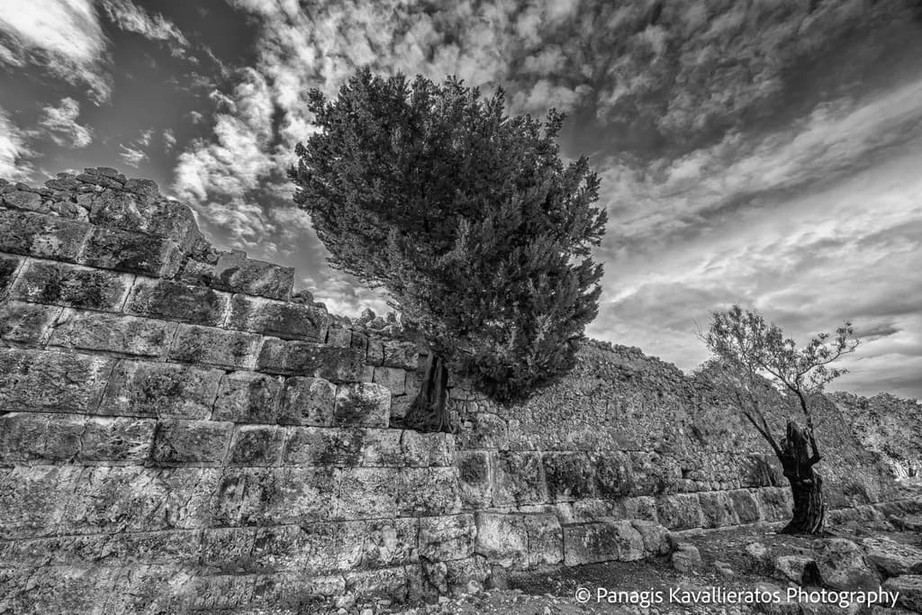 Ancient Resilience