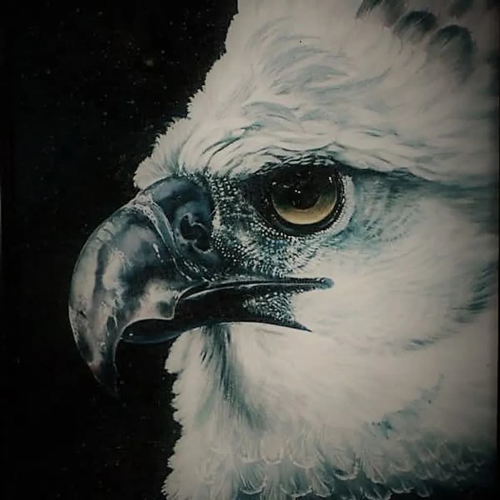 Bald Eagle Portrait