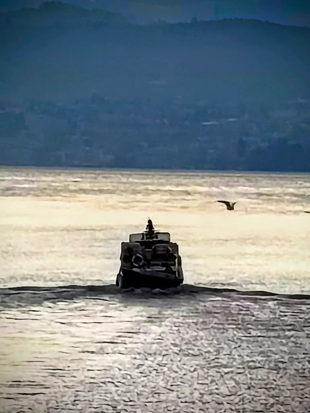 Silent Voyage