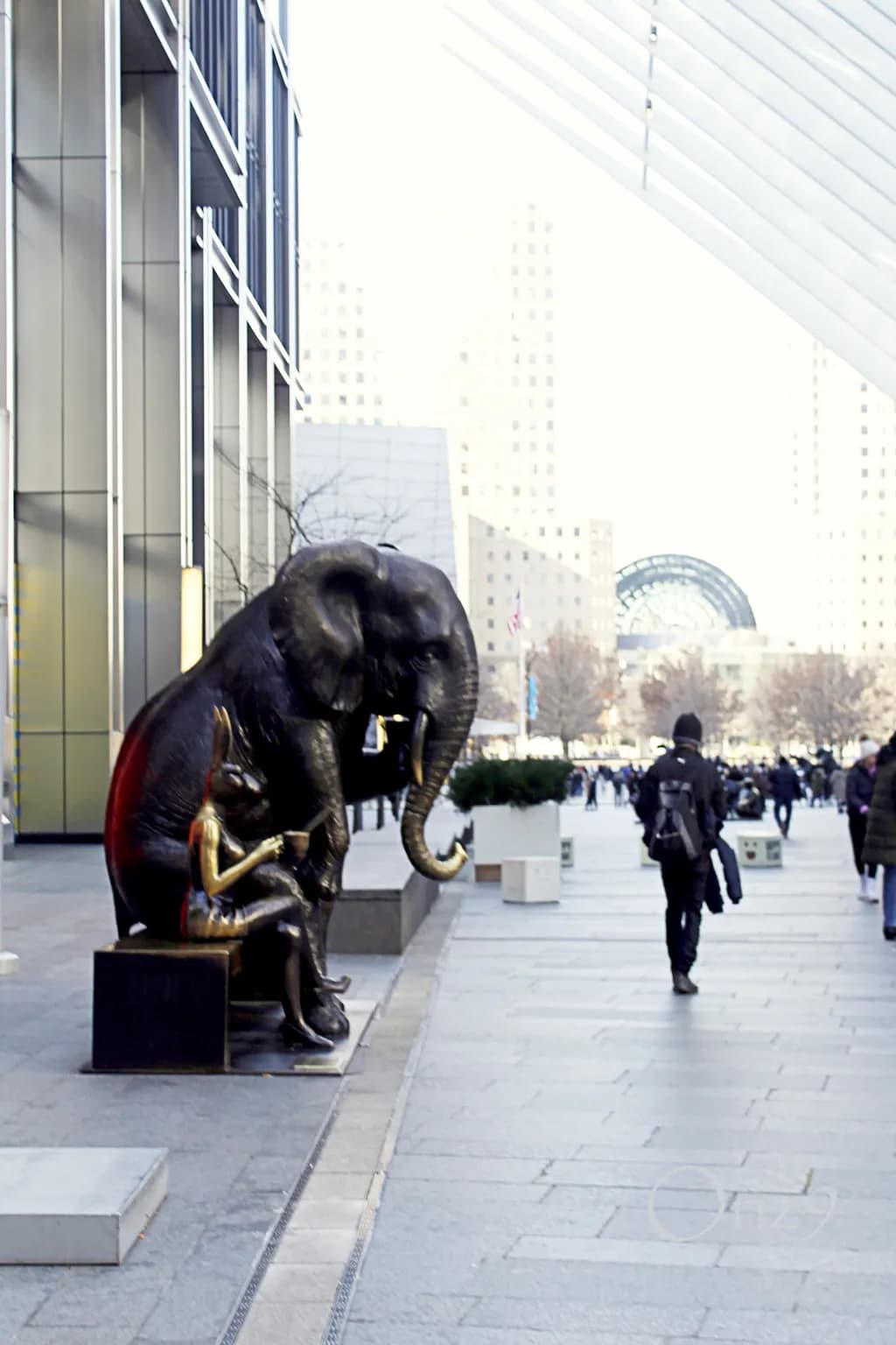Elephant Encounter
