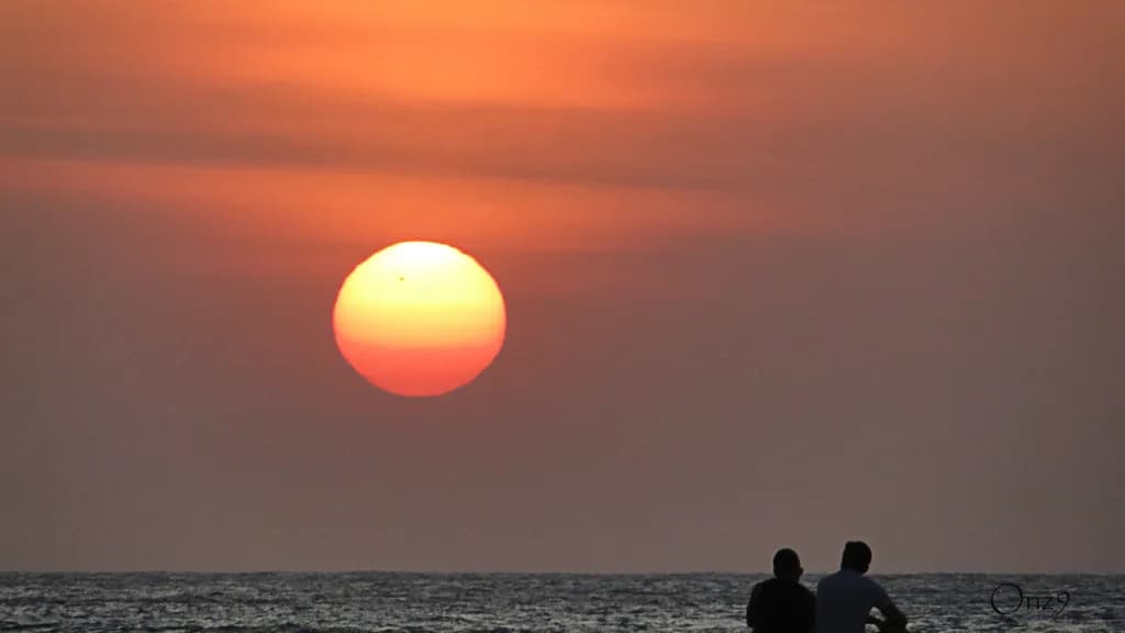Sunset Embrace
