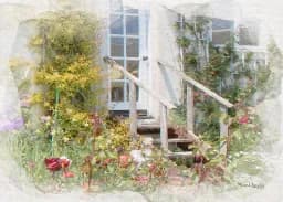 Whispers of Roses Along Weathered Steps