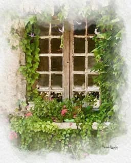 The Garden That Stayed
