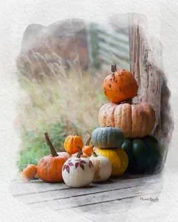 Autumn's Little Gathering