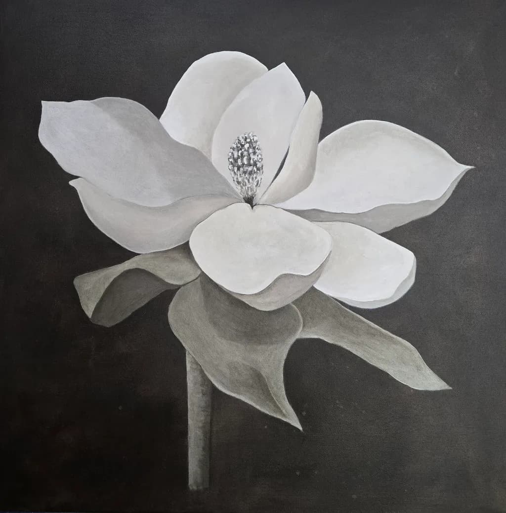 Large White Magnolia