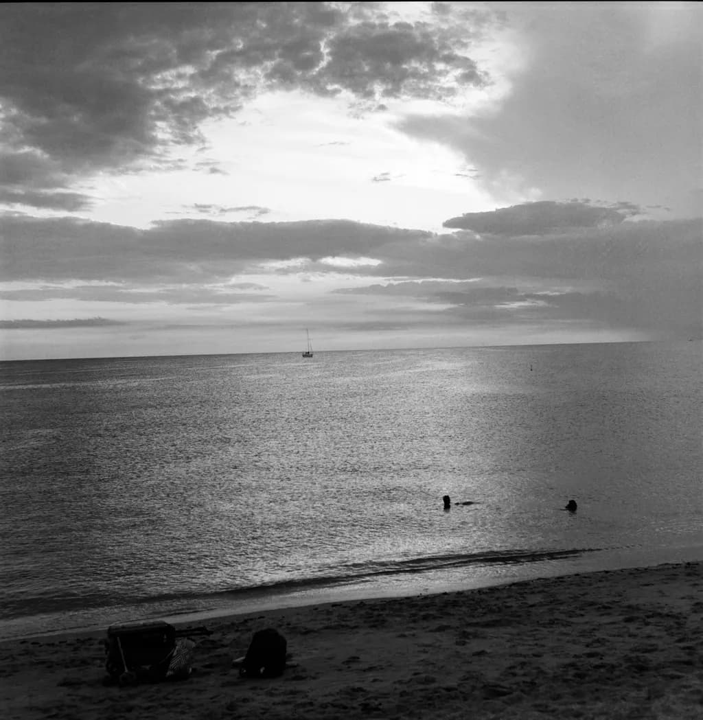 Venice Beach Monochrome