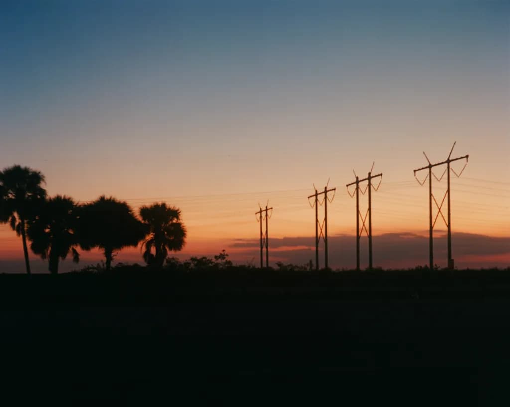 Sunset Between Trees