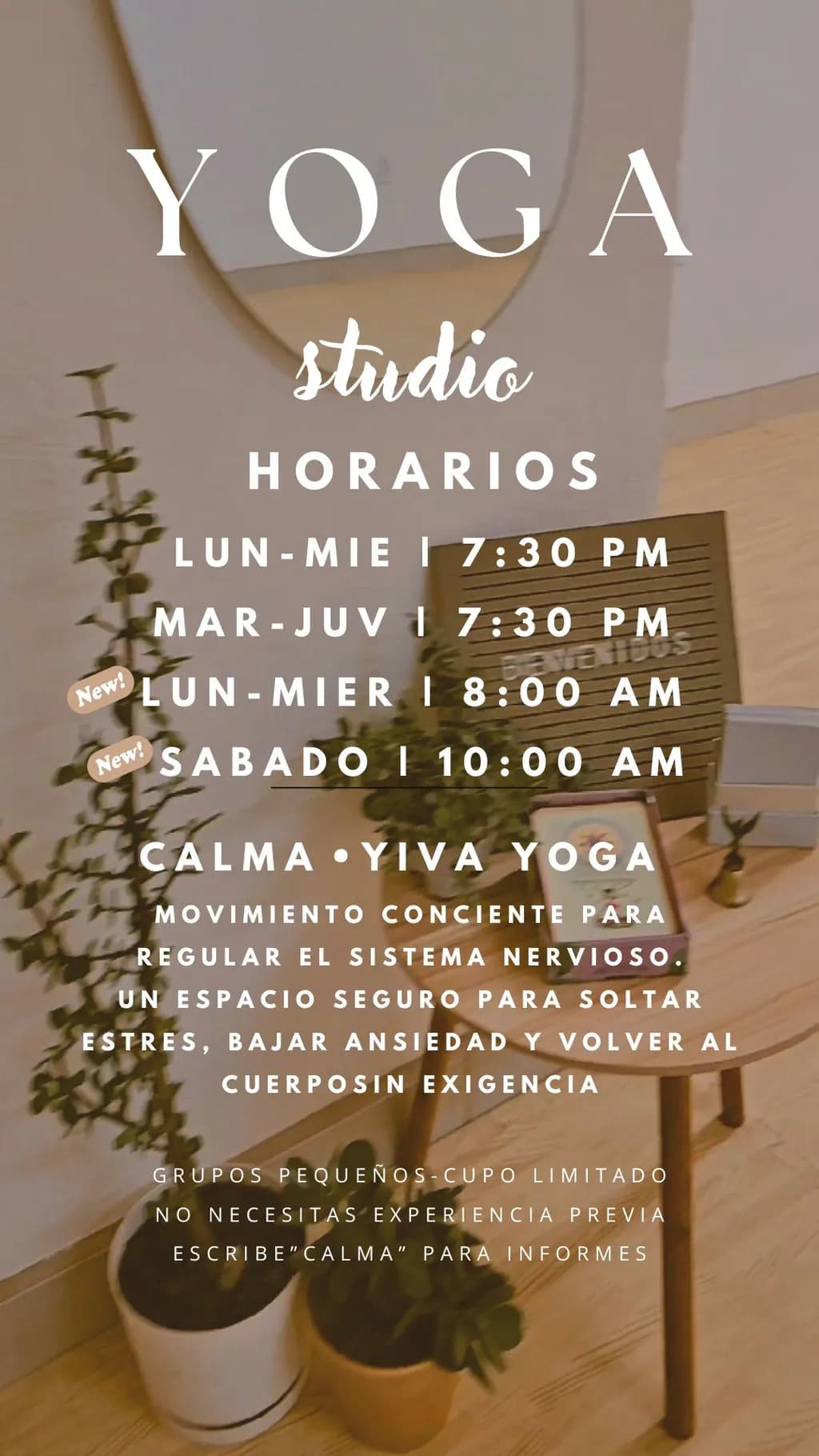 Minimalist Yoga Studio