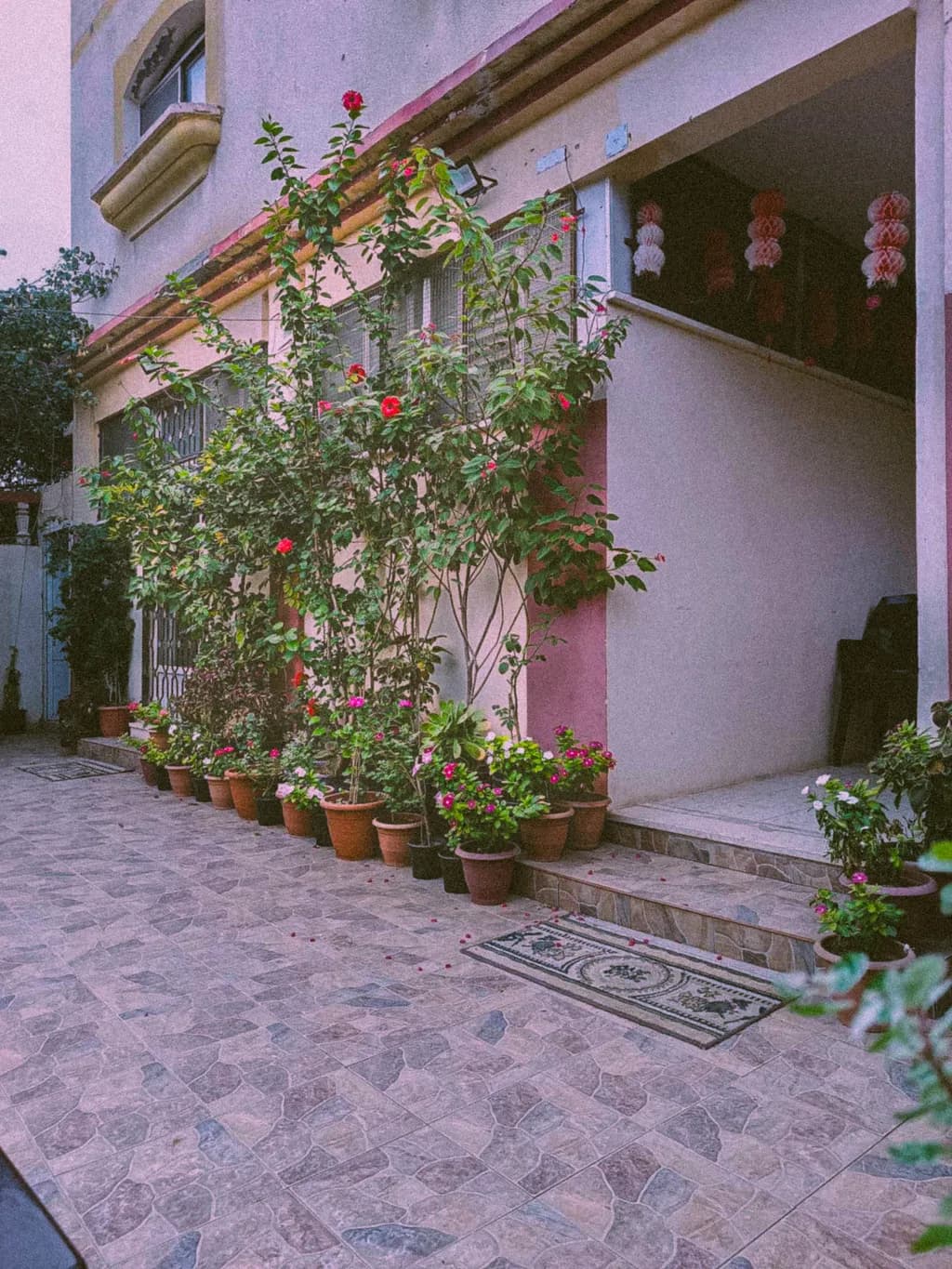 Garden Serenity