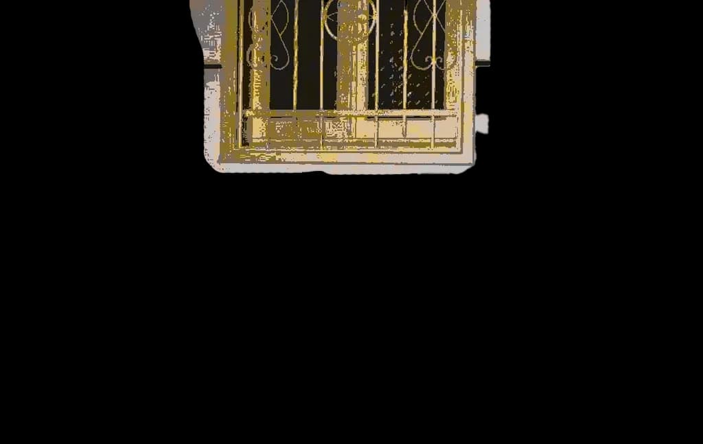 Ornate Ironwork Window