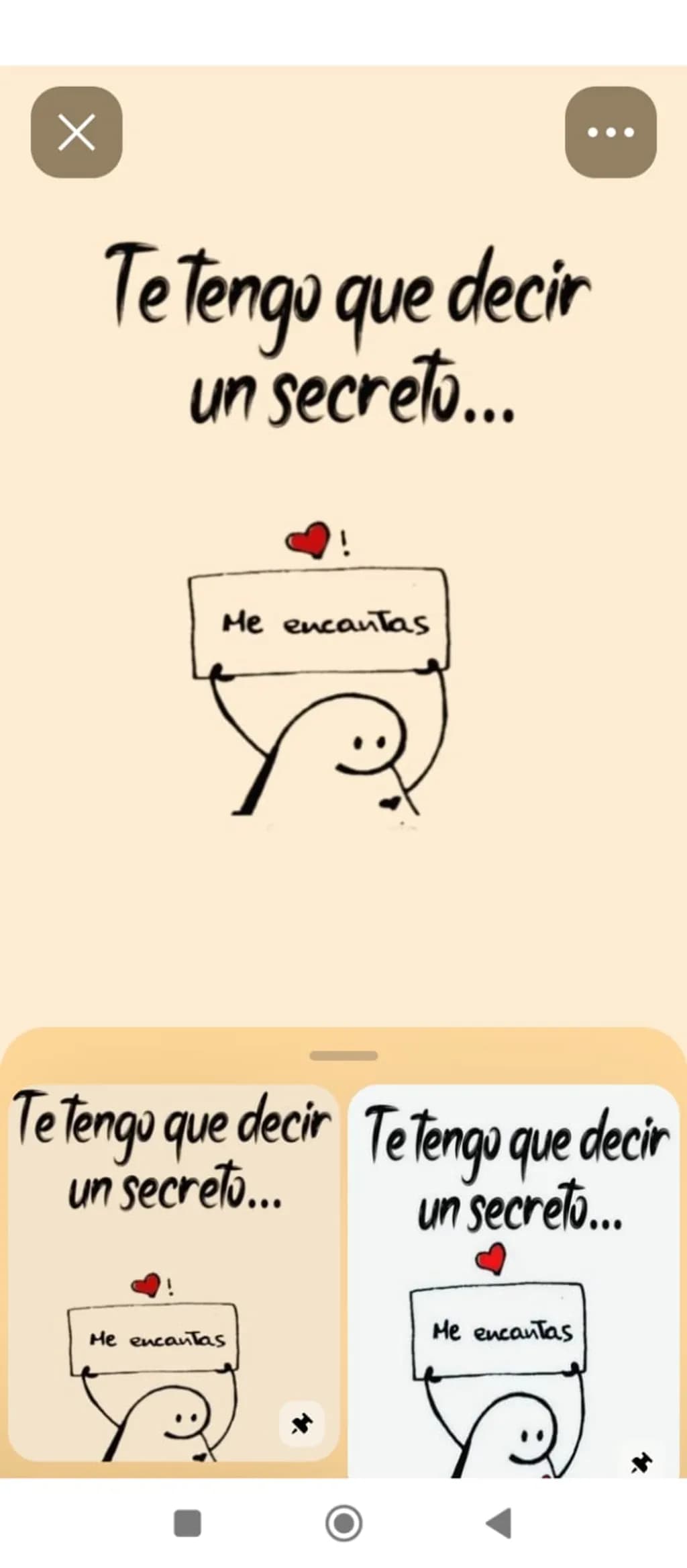 Secret Confession