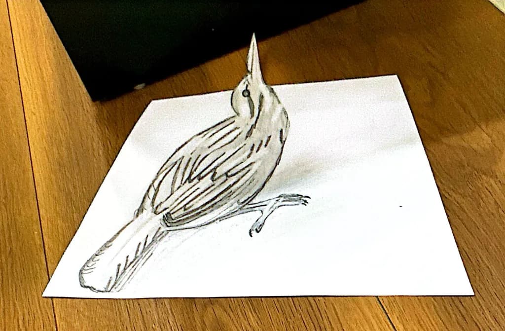 Perched Illusion