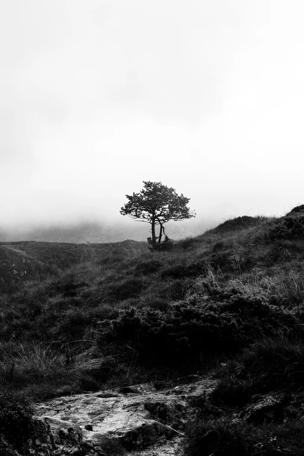 Solitude