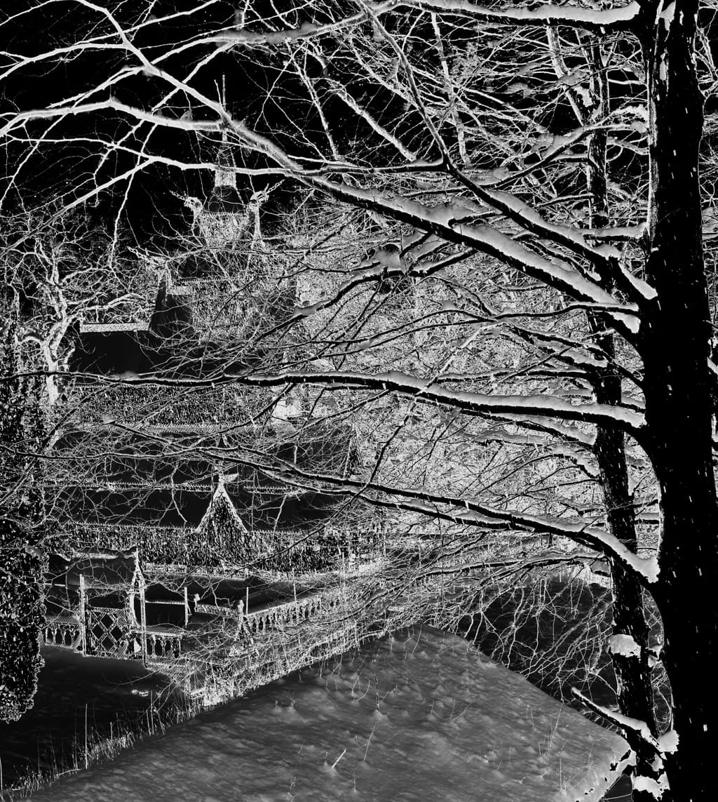 Winter Veins