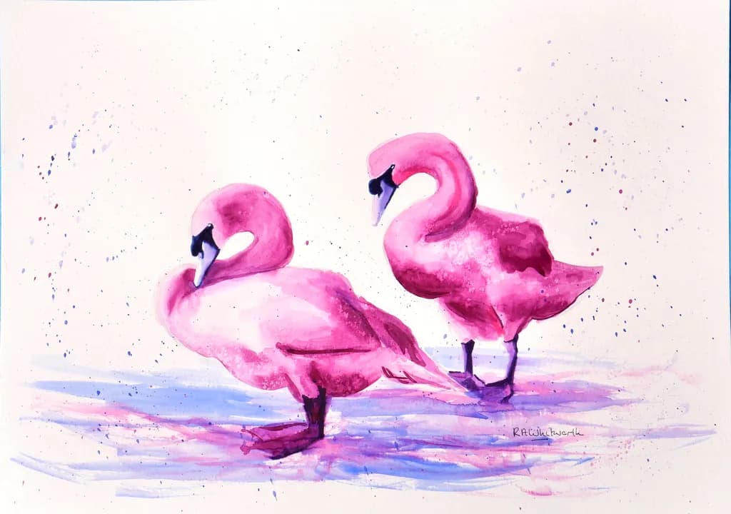 Blush Flamingos