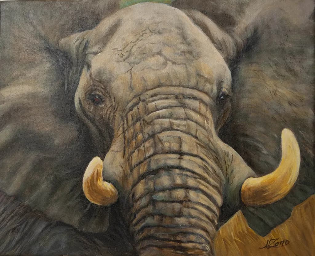 Elefante Close-Up