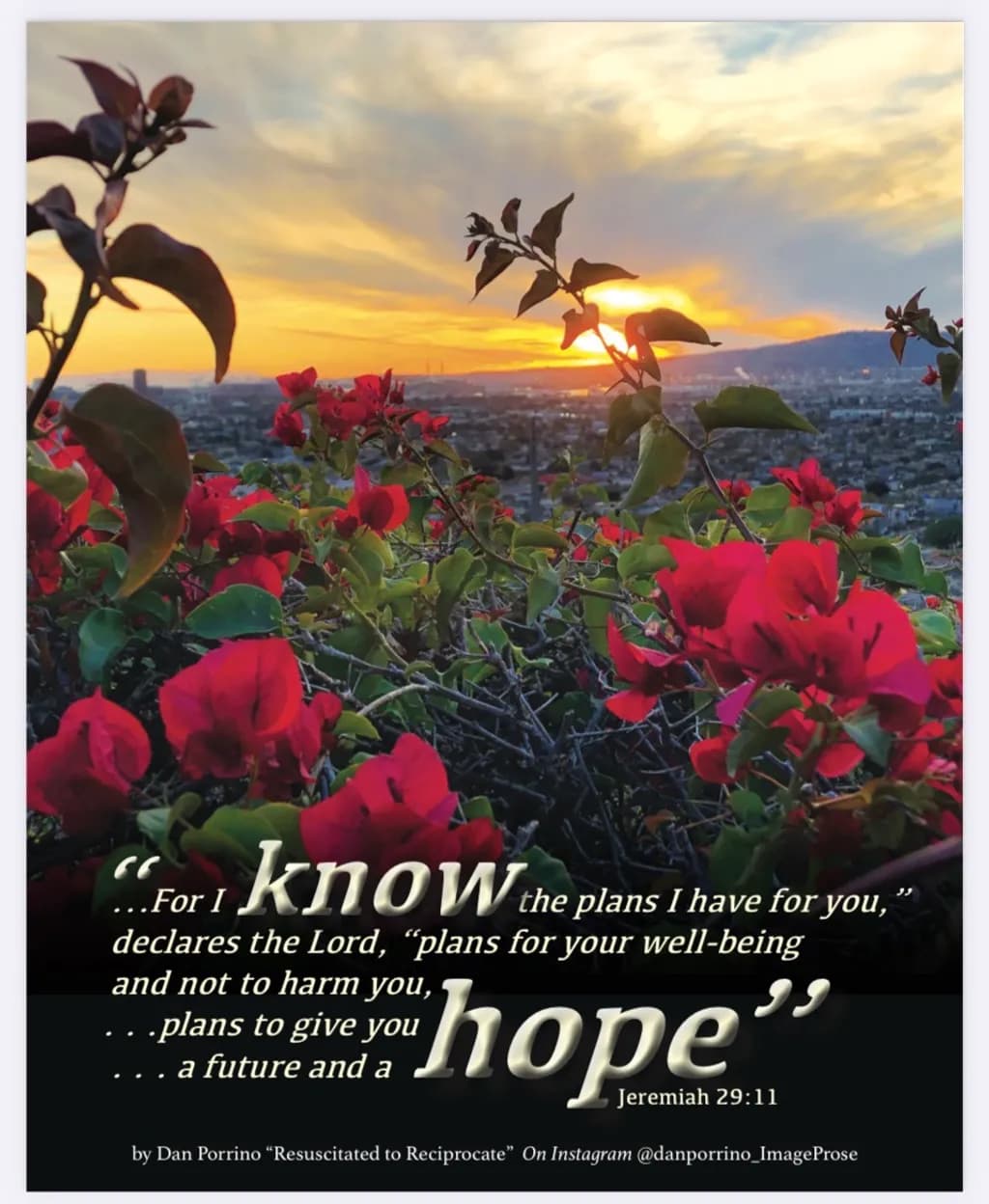 Hopeful Horizons