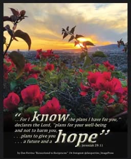 Bougainvillea at Sunset