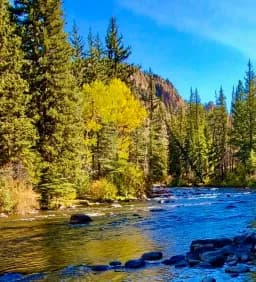 Mountain Stream Colorado 