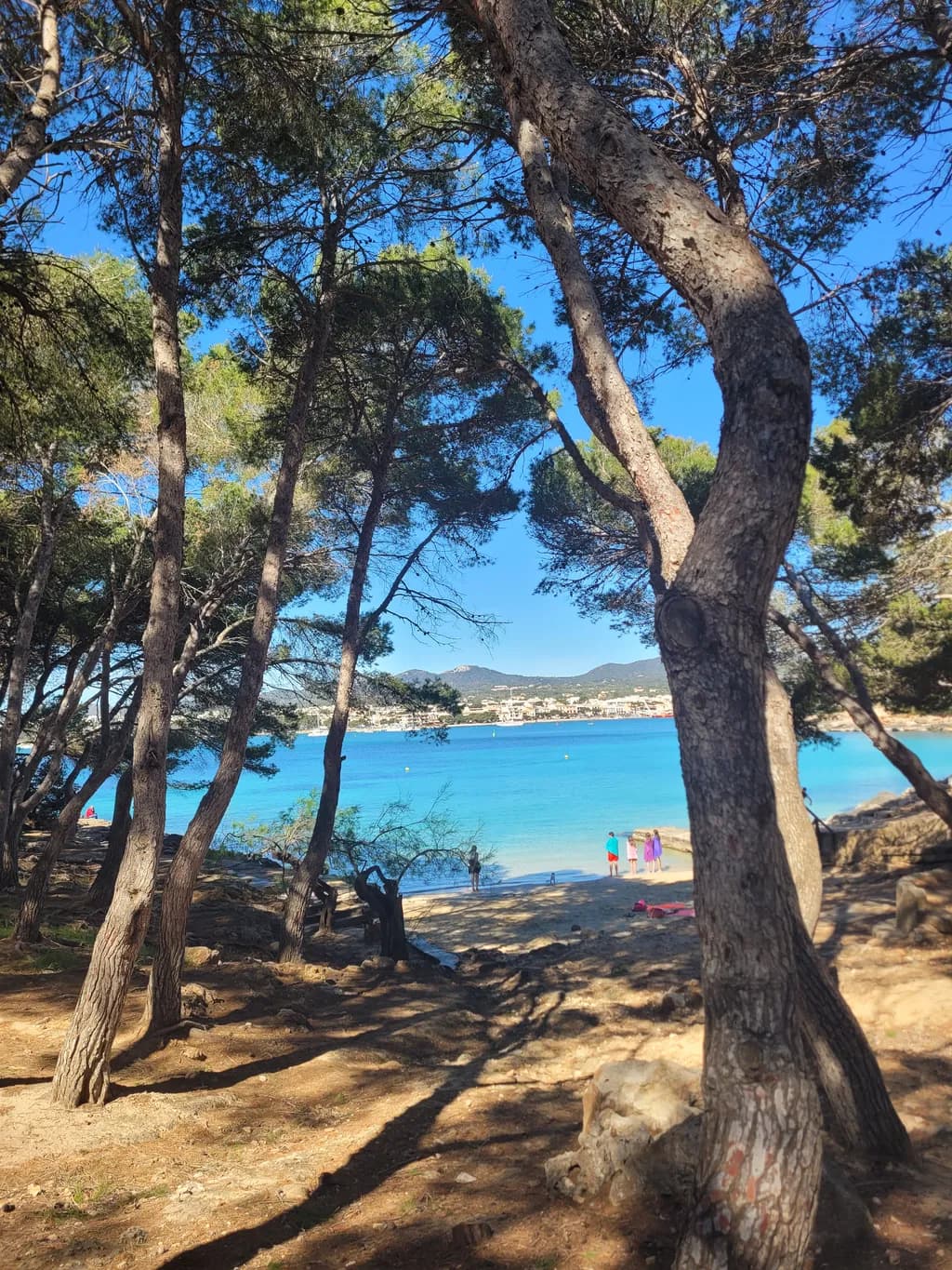 Seaside Pines