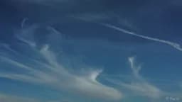 Clouds in Motion