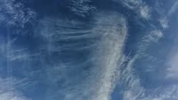 Clouds of Fiber