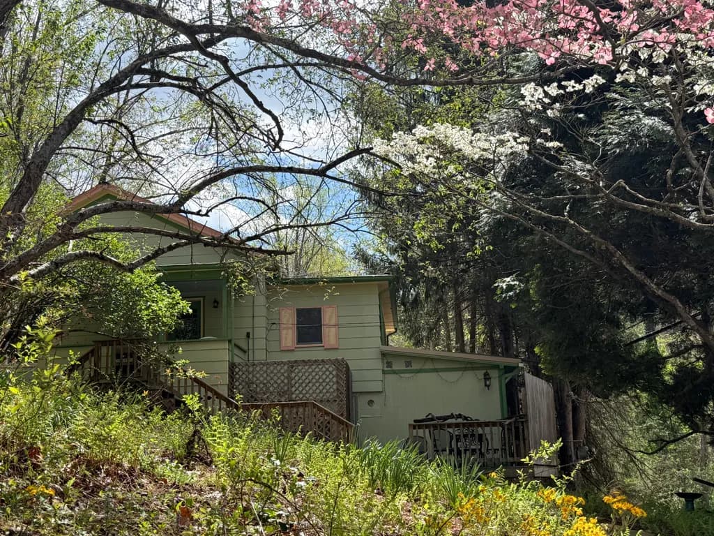 Blossom Haven