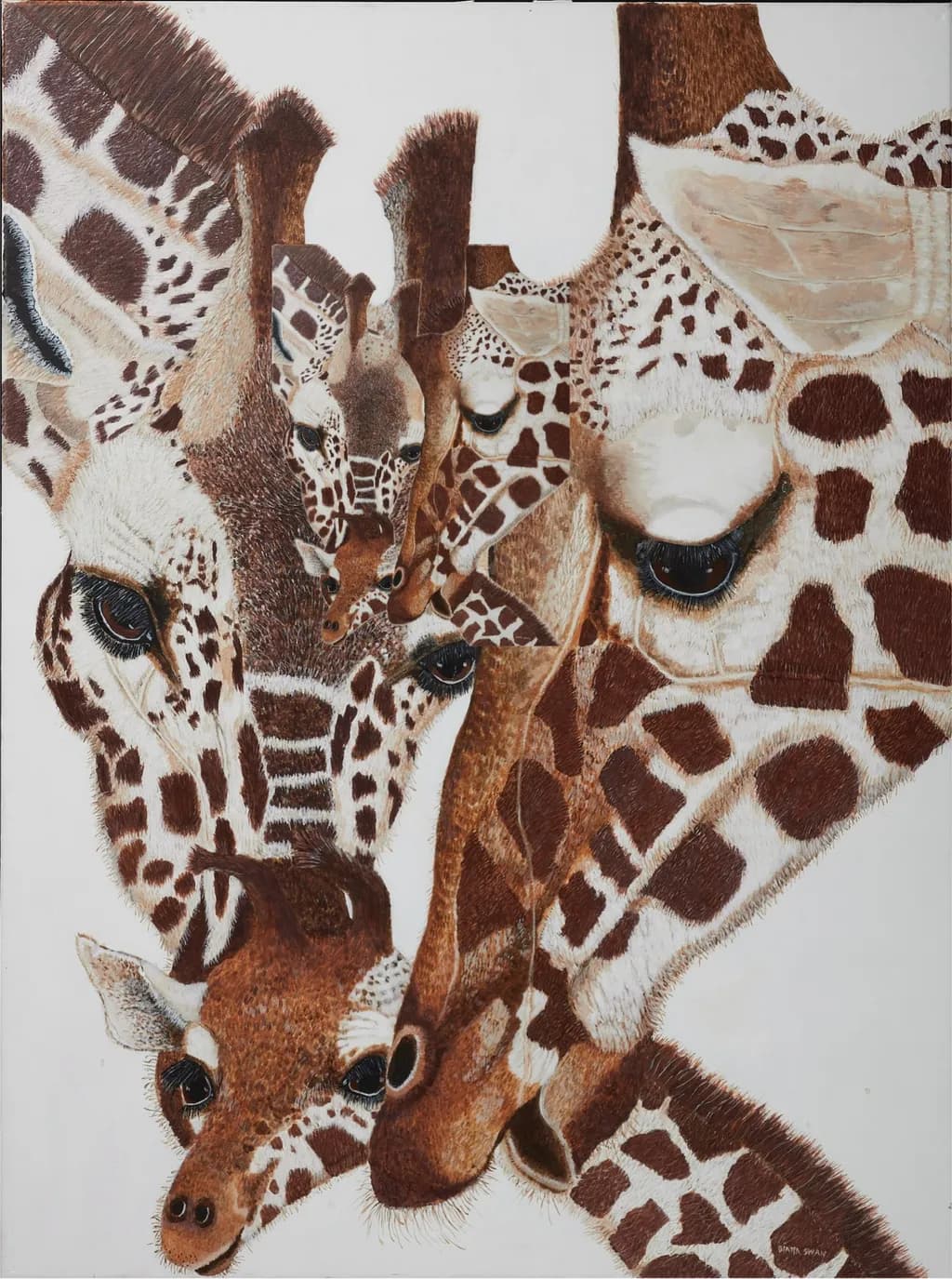 Giraffes Smallest
