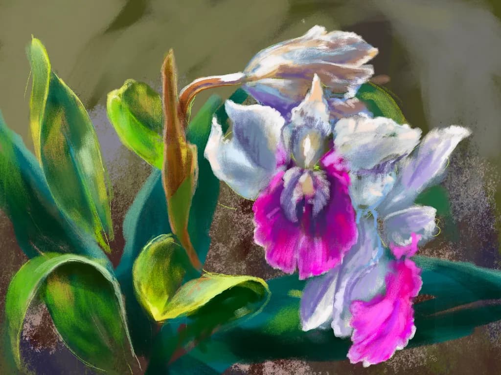 Colorful Orchid Blossom
