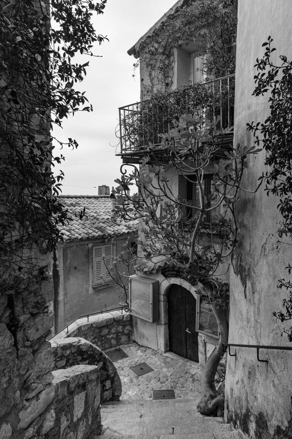 Timeless Passage