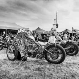 Spiderweb Chopper