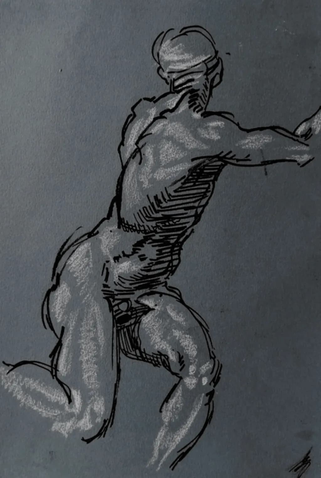 Muscle Study