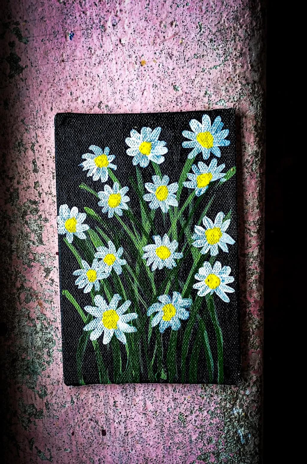Daisies in Contrast