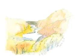 Golden Valley Stream