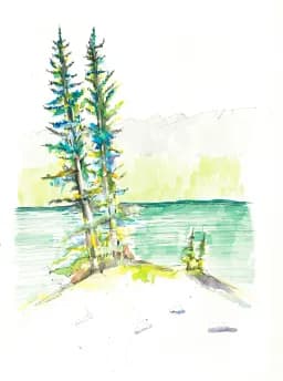 Energetic Spruce