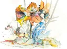 Lily Bloom