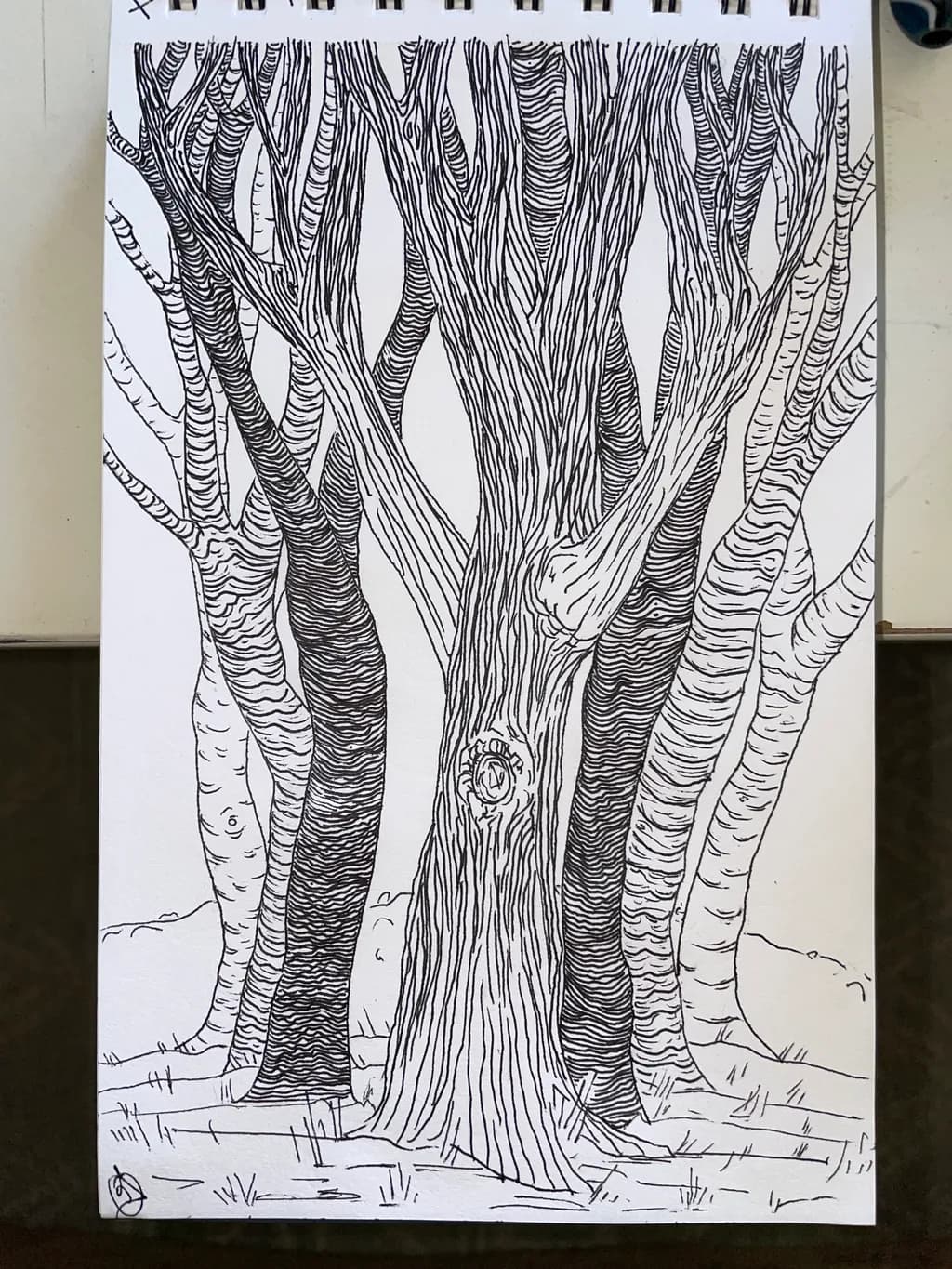 Interwoven Trunks