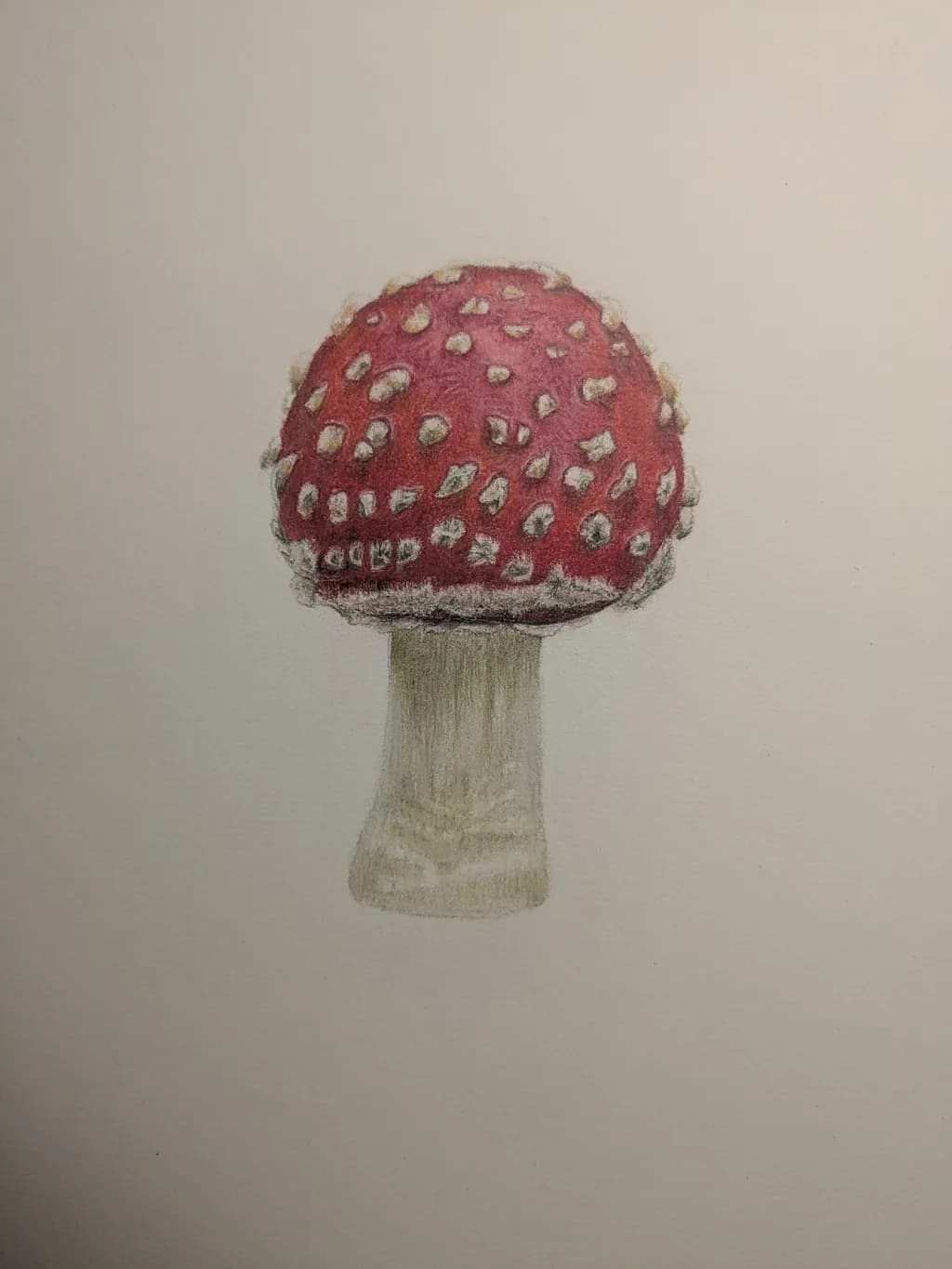 Amanita Detail