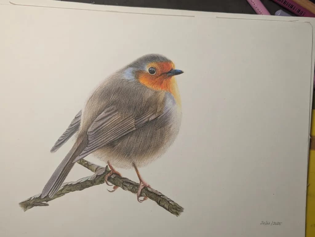 Perched Robin