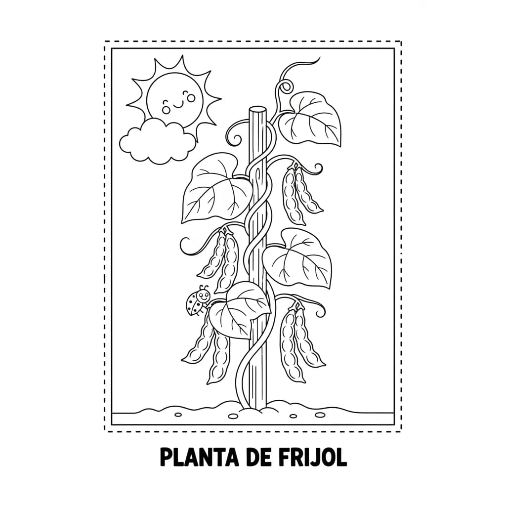 Planta de Frijol