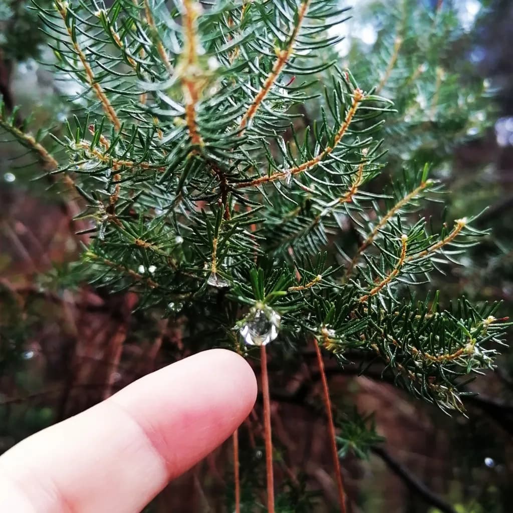 Droplet Touch