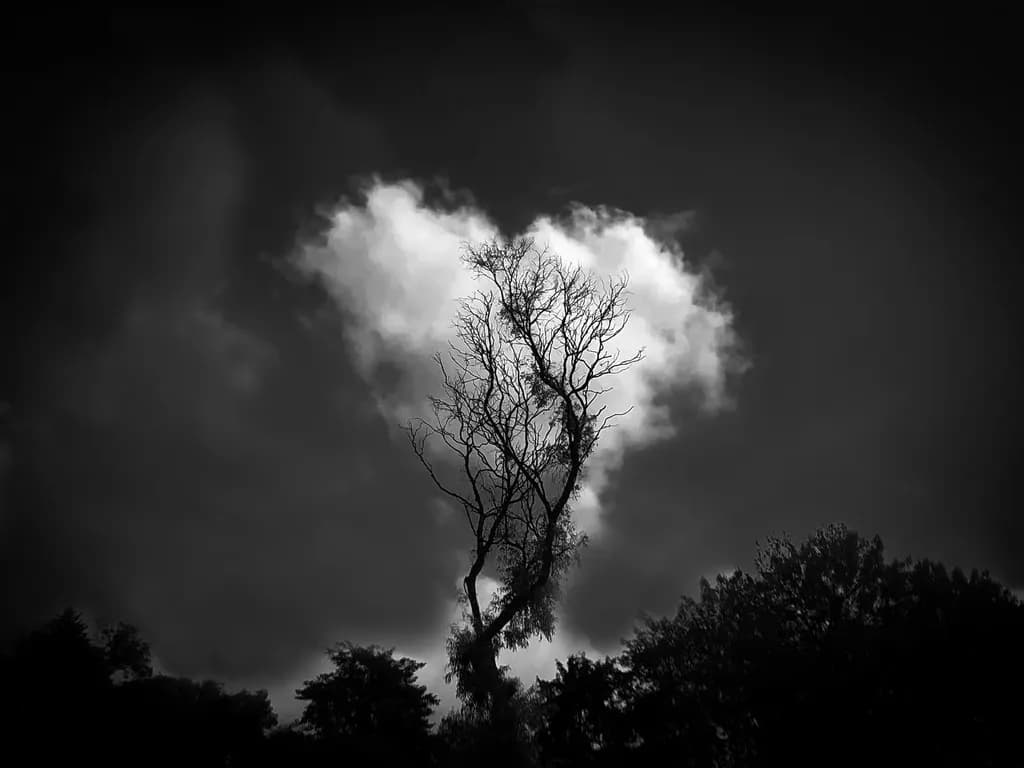 Nubes Contrast