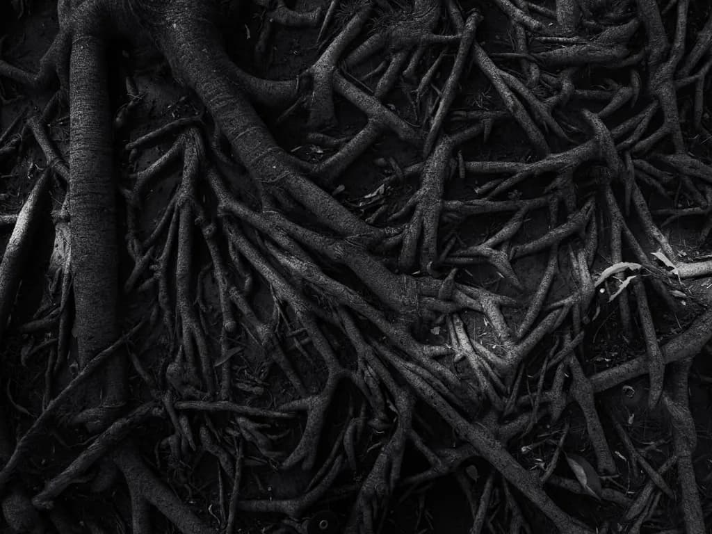 Entramado Depths