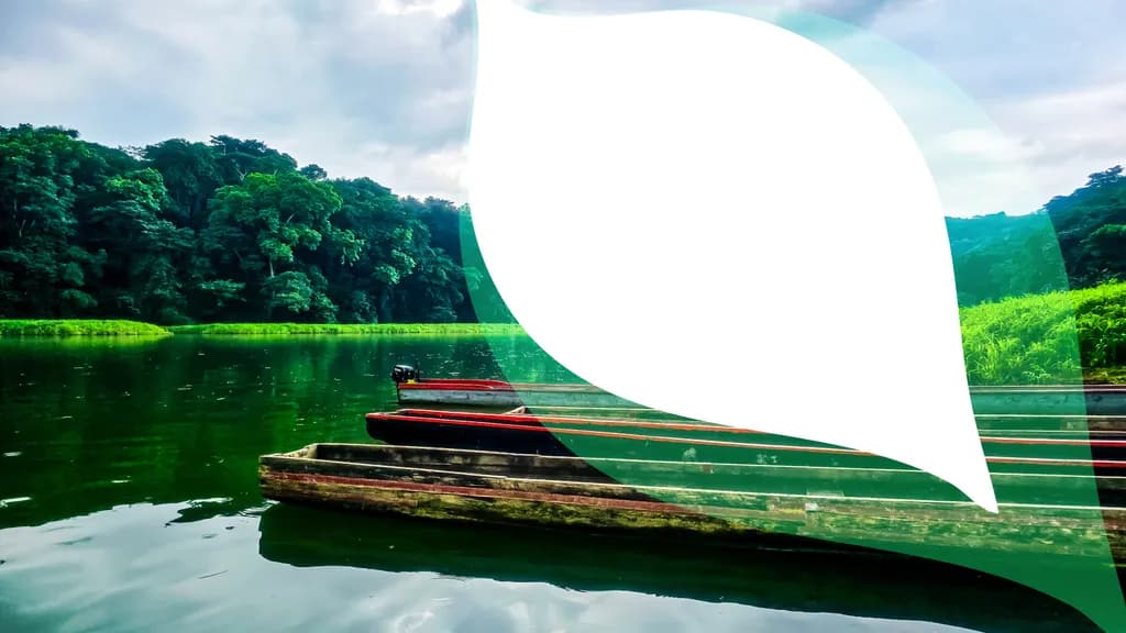 Seccion Reflections