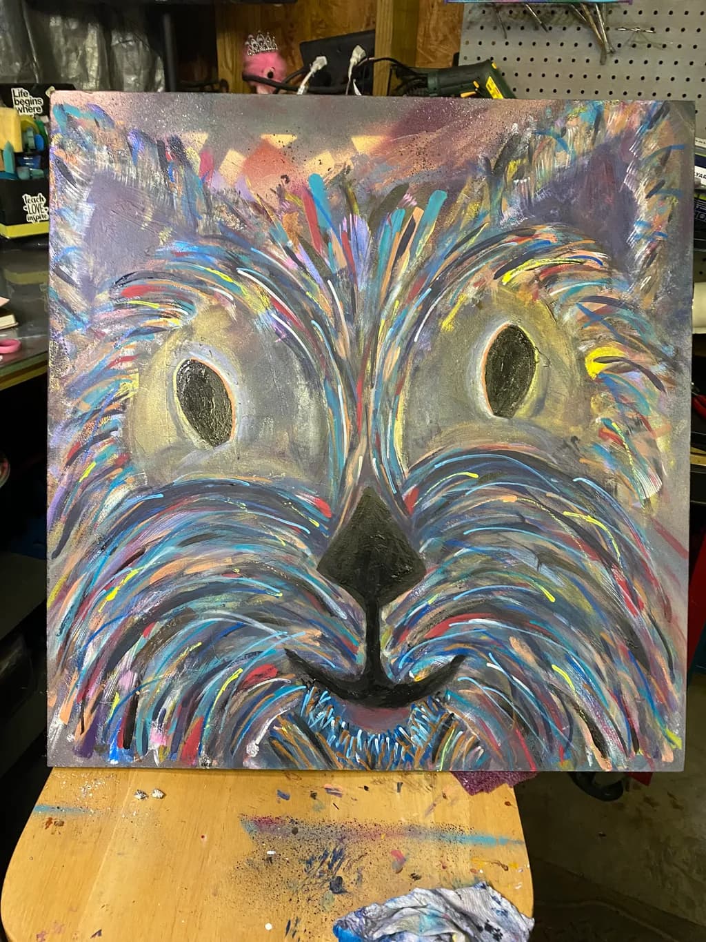 Colorful Canine Gaze