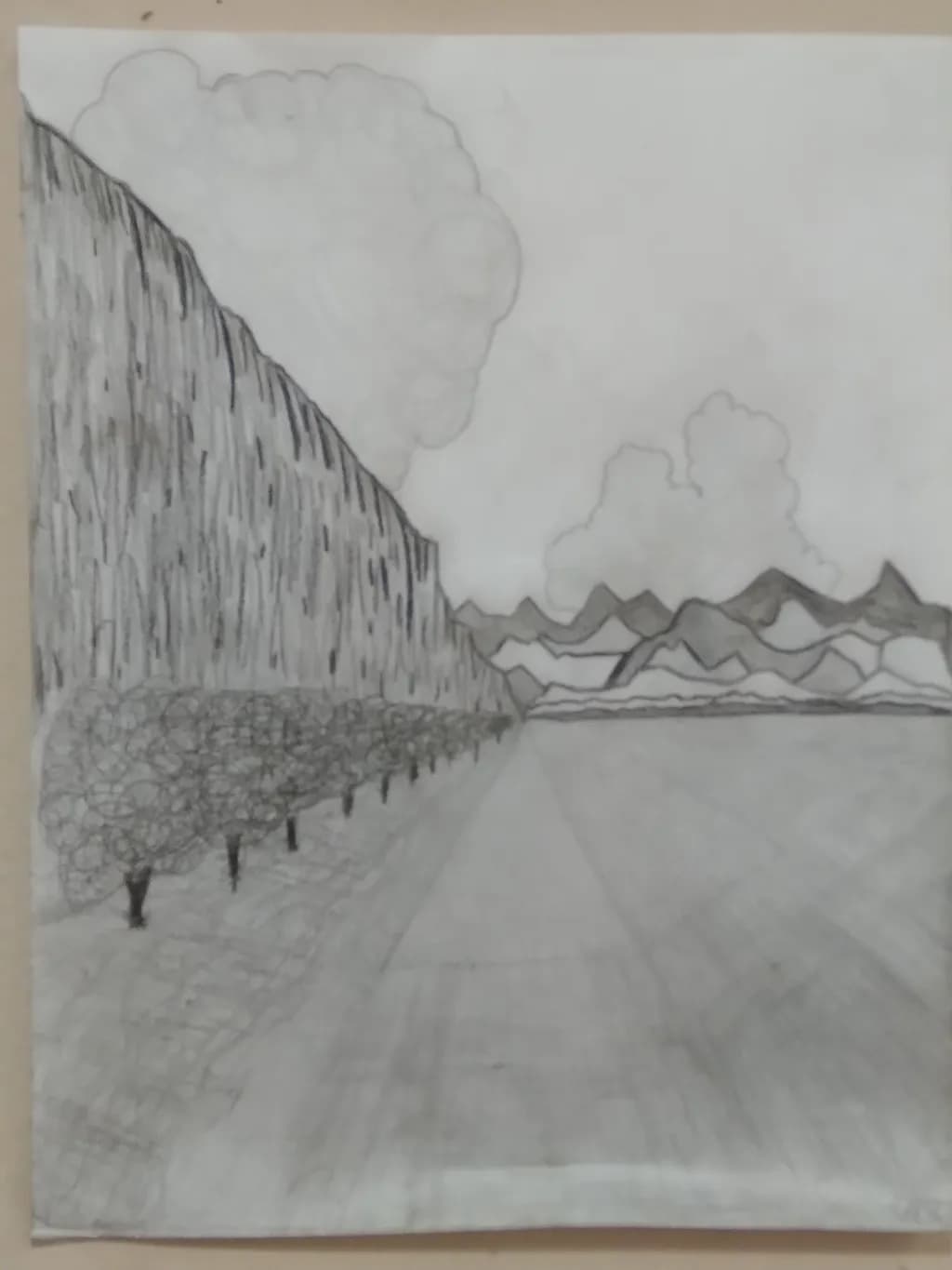 Mountain Road Perspective