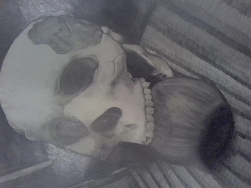 Skull Study